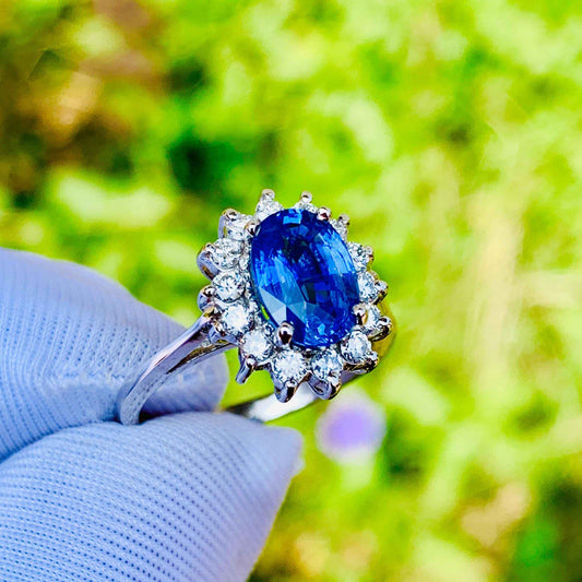 1.65ct Cornflower Blue Sapphire Ring – White Gold & Natural Diamonds