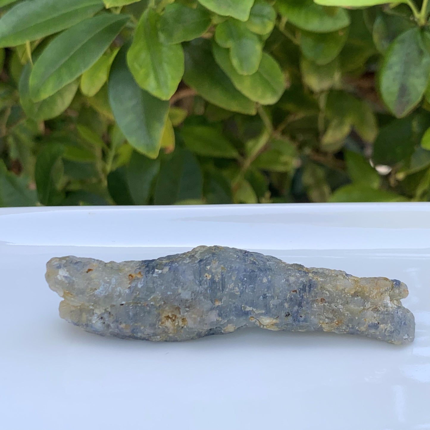 Crocodile Shaped Natural Corundom - Sapphire (UH) - Rare Collectables - Baza Boutique