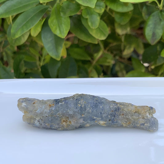 Crocodile Shaped Natural Corundom - Sapphire (UH) - Rare Collectables