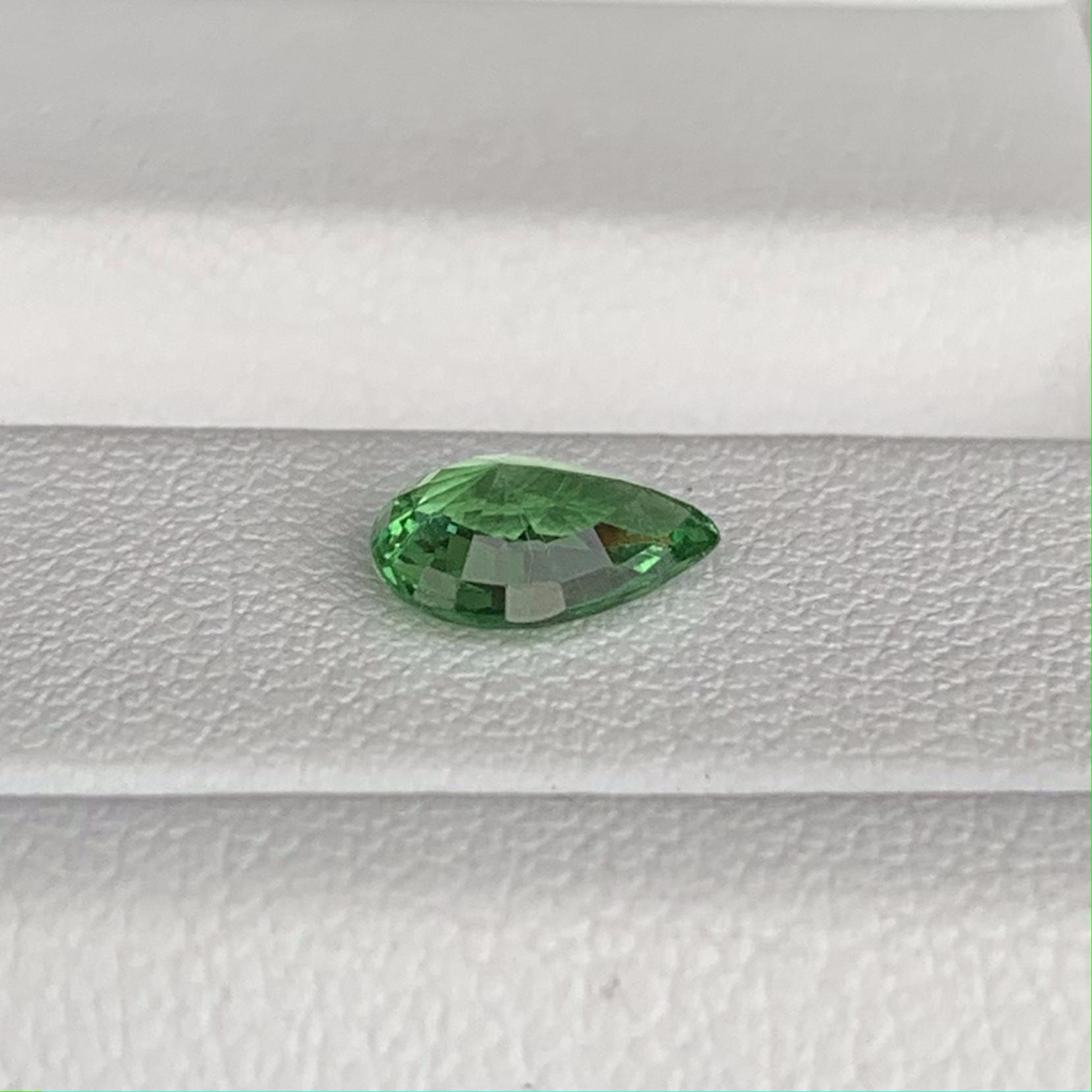 Natural Tsavorite Garnet 1.01ct (UH) - Baza Boutique