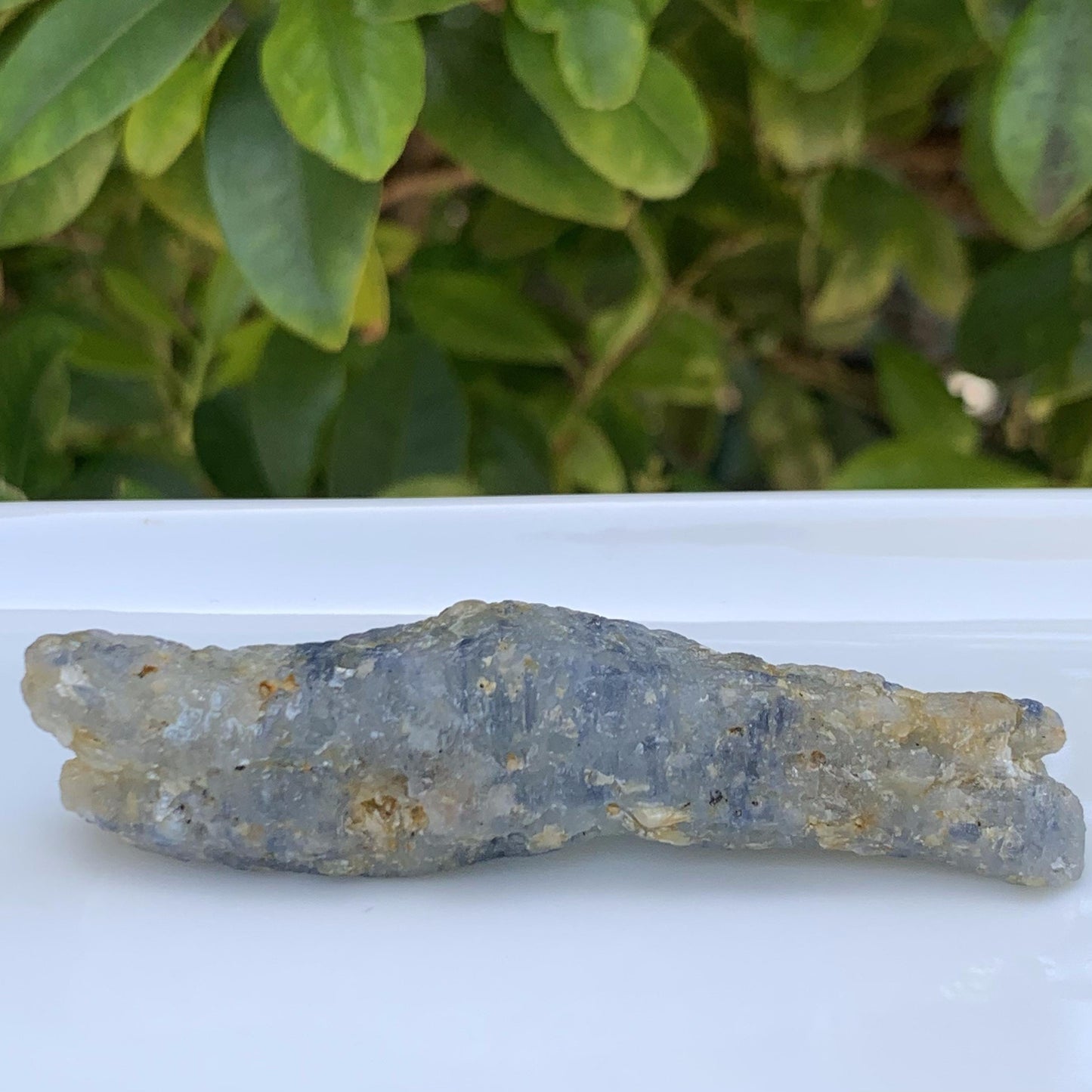 Crocodile Shaped Natural Corundom - Sapphire (UH) - Rare Collectables - Baza Boutique