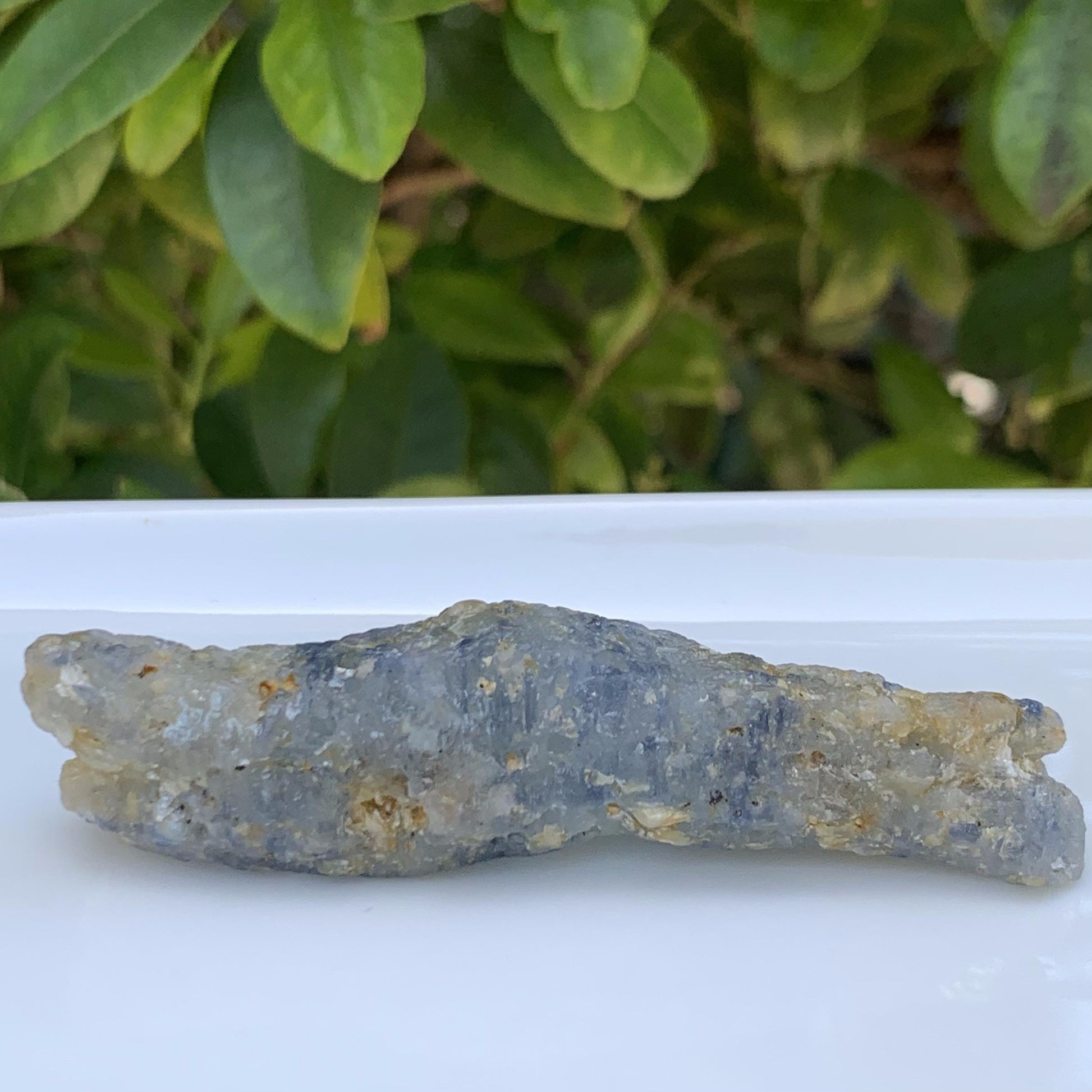 Crocodile Shaped Natural Corundom - Sapphire (UH) - Rare Collectables - Baza Boutique