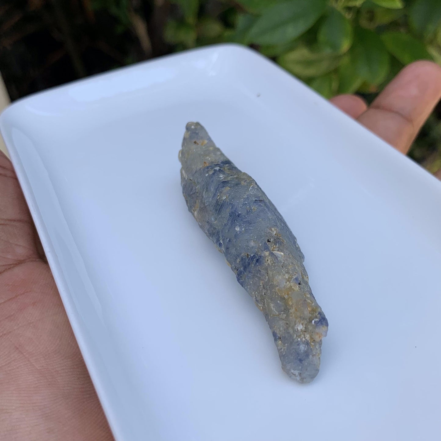 Crocodile Shaped Natural Corundom - Sapphire (UH) - Rare Collectables - Baza Boutique