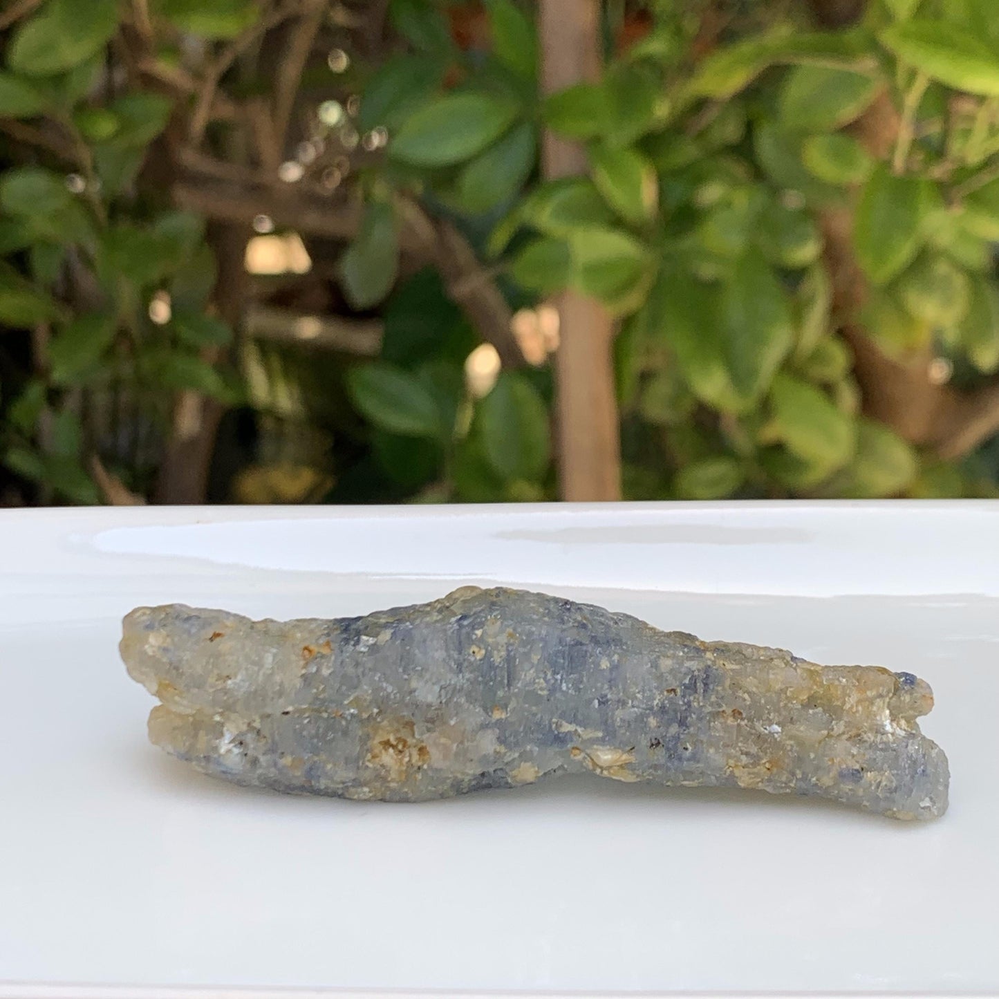 Crocodile Shaped Natural Corundom - Sapphire (UH) - Rare Collectables - Baza Boutique