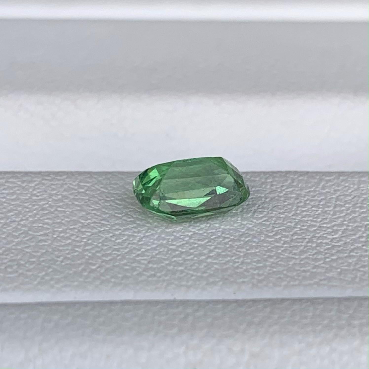 Natural Tsavorite Garnet 0.92ct (UH) - Baza Boutique