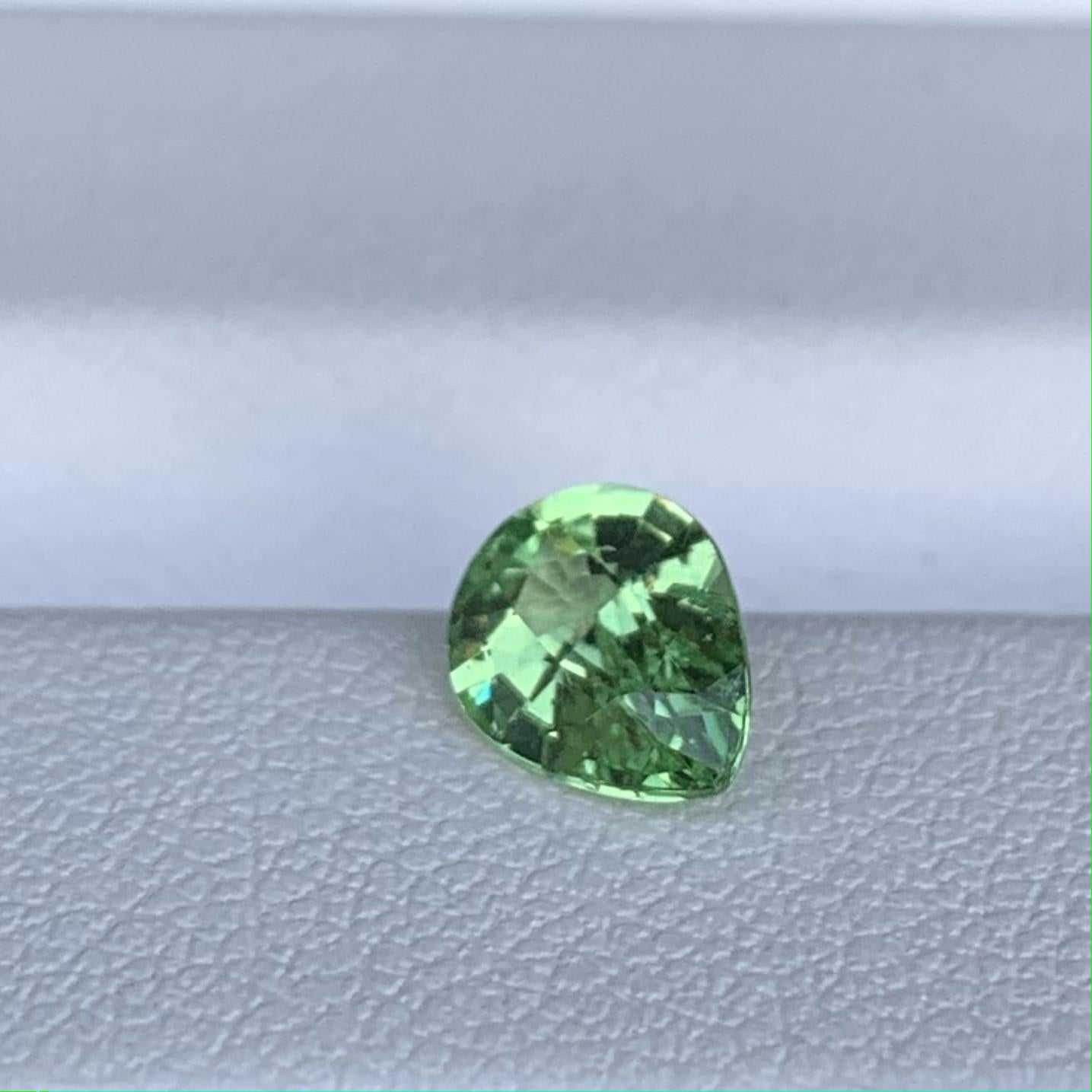Natural Tsavorite Garnet 1.00ct (UH)