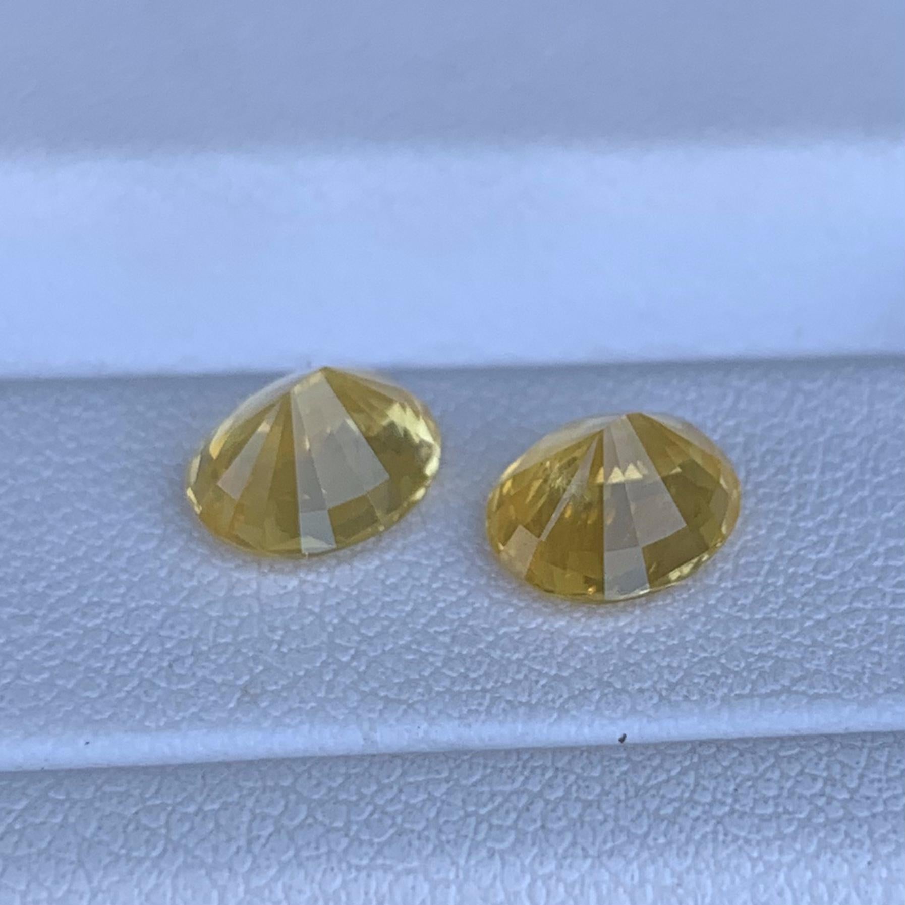 Natural Yellow Sapphire Pair 1.65/1.73ct- (H) - Baza Boutique