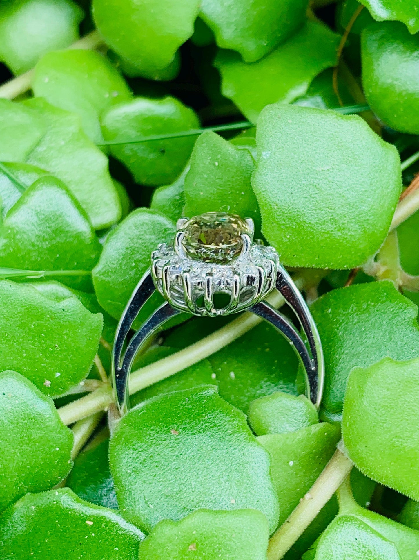 Alexandrite 2.87ct Ring with Natural Diamonds in 14K White Gold