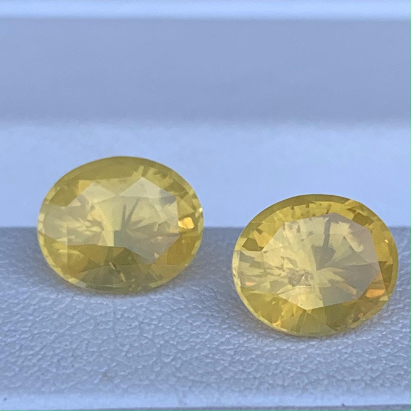 Yellow Sapphire Pair 3.39ct Total Heated  Natural Oval Cut Matching Gemstones for Earrings