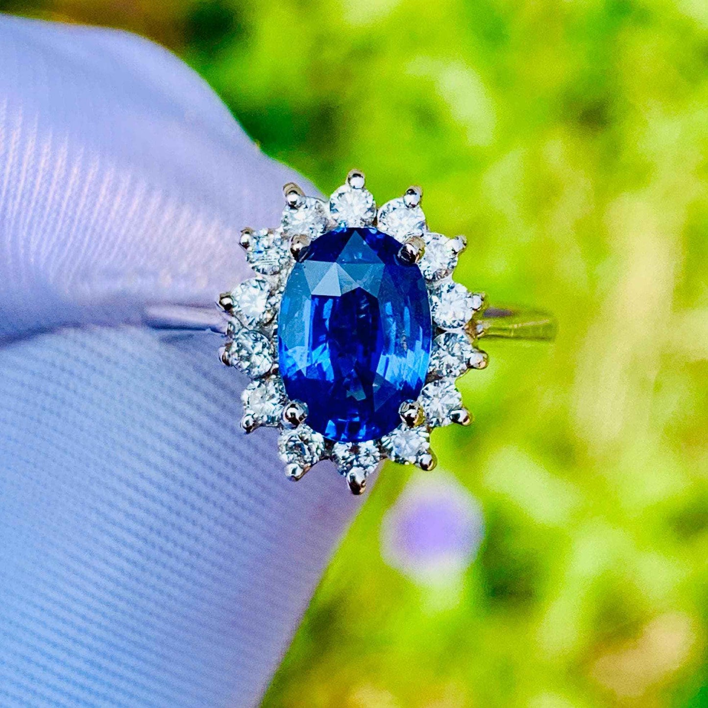 1.65ct Cornflower Blue Sapphire Ring – White Gold & Natural Diamonds