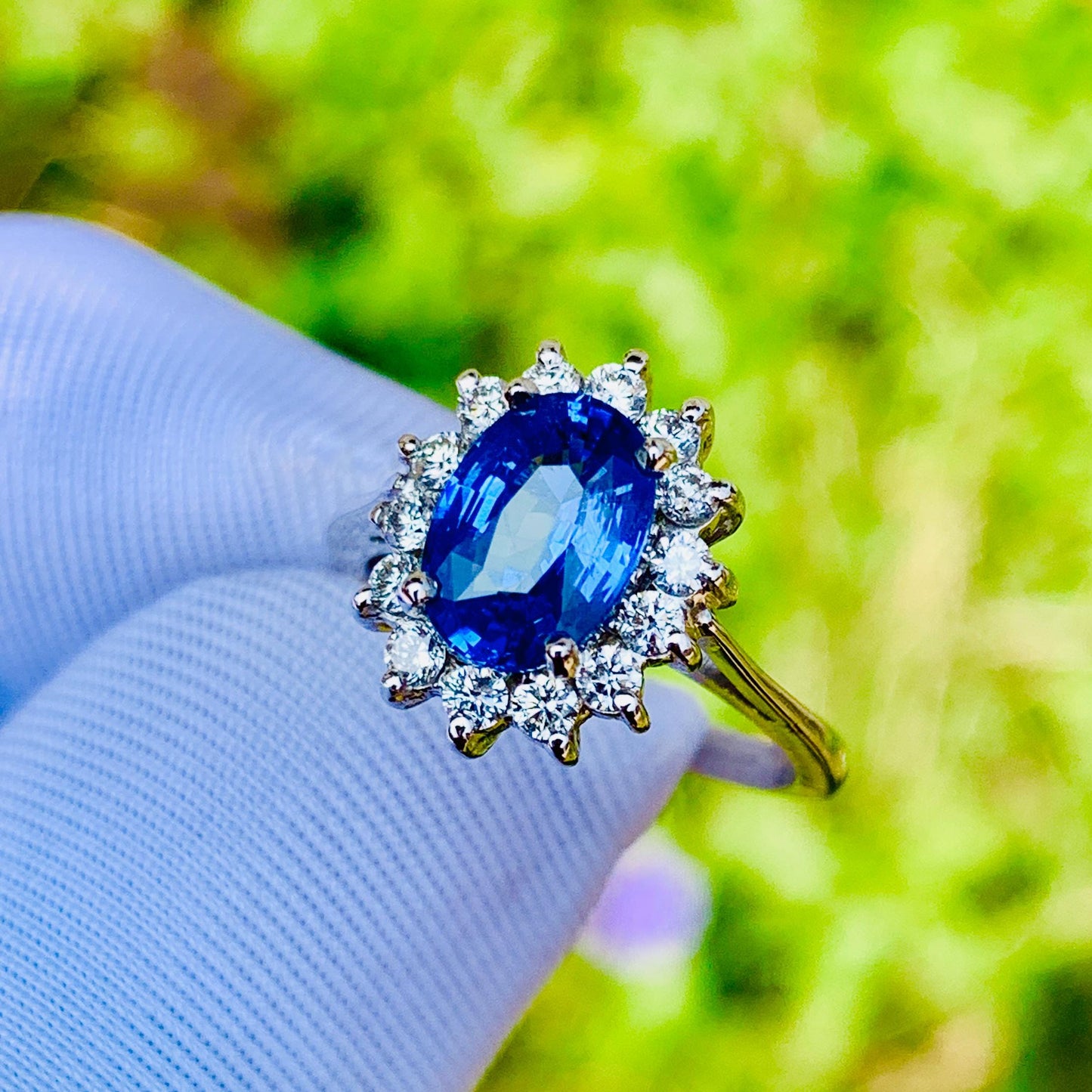 1.65ct Cornflower Blue Sapphire Ring – White Gold & Natural Diamonds