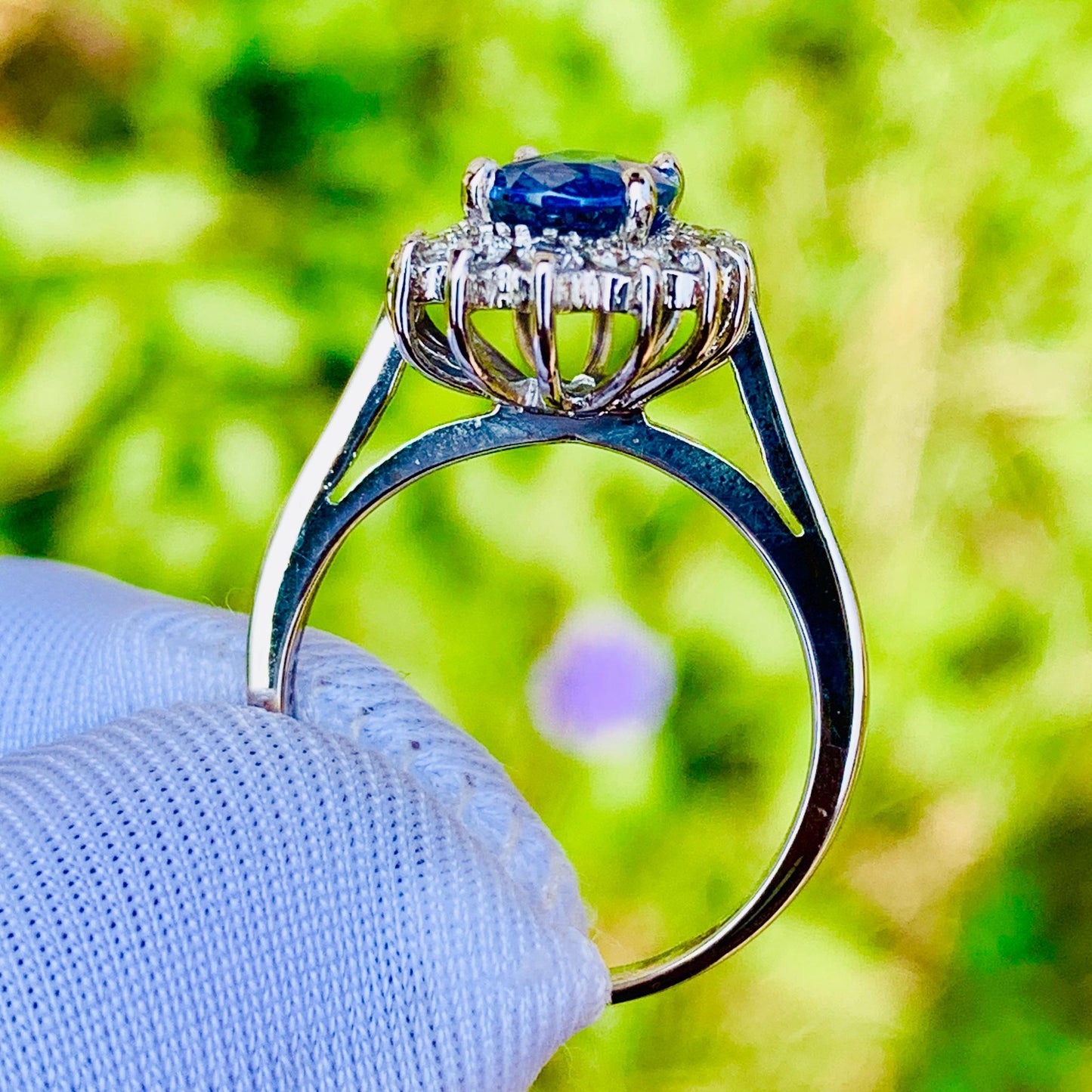 1.65ct Cornflower Blue Sapphire Ring – White Gold & Natural Diamonds