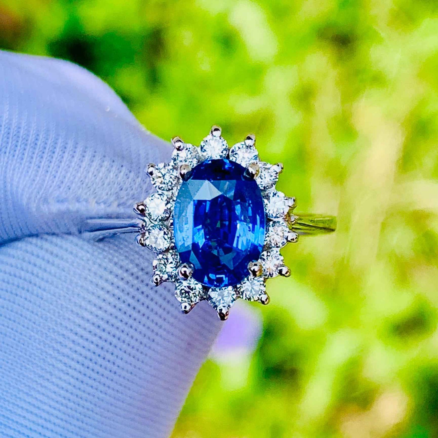 1.65ct Cornflower Blue Sapphire Ring – White Gold & Natural Diamonds