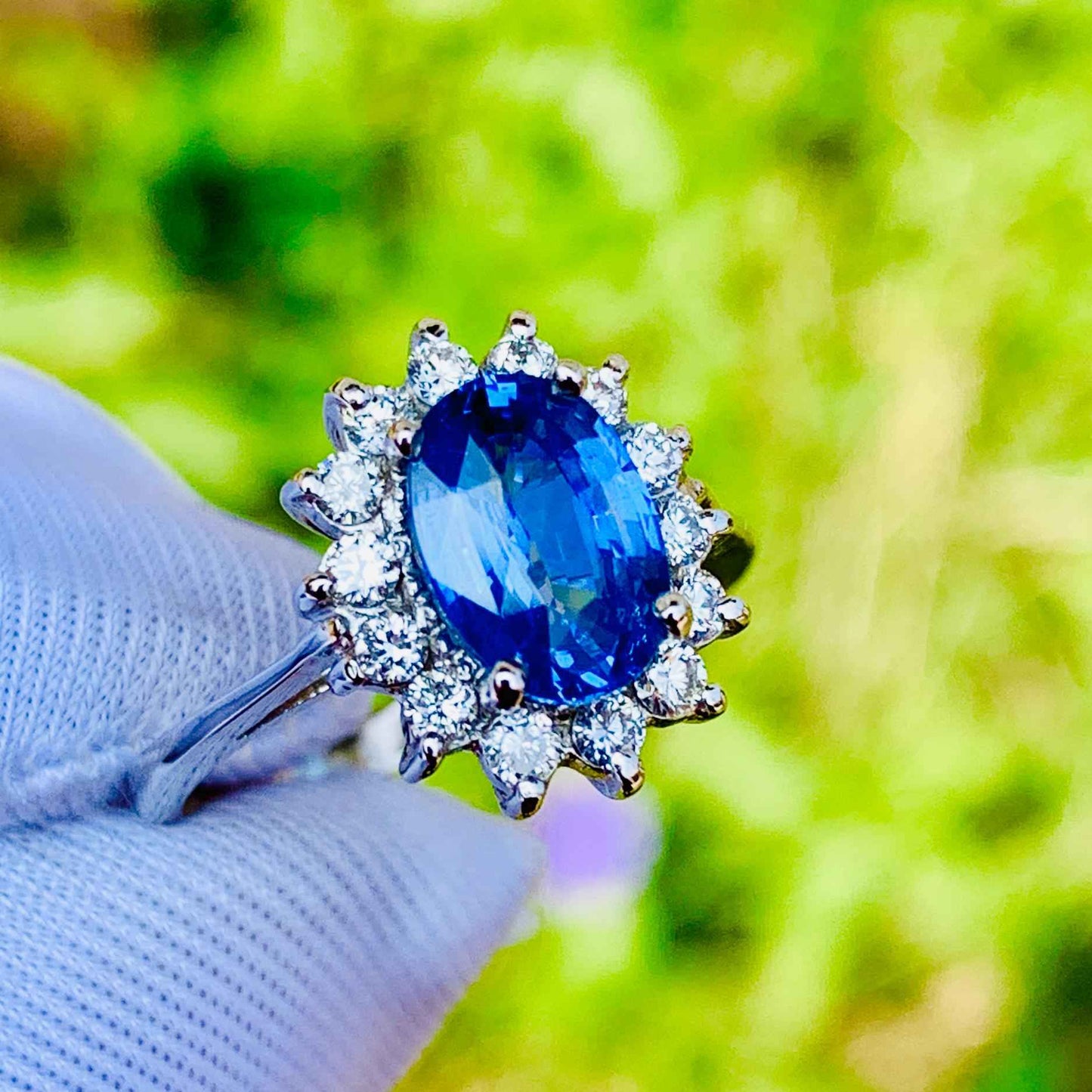 1.65ct Cornflower Blue Sapphire Ring – White Gold & Natural Diamonds