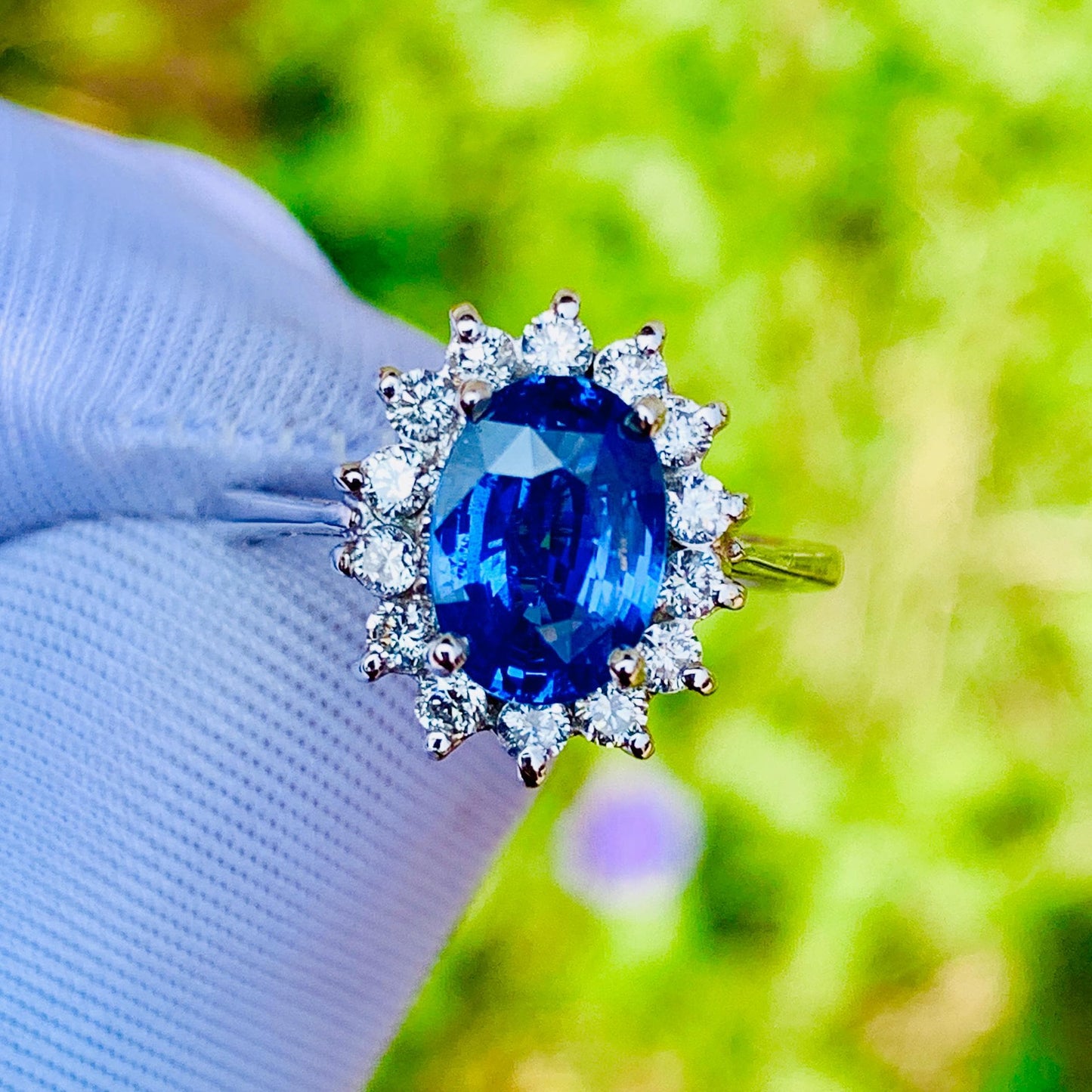 1.65ct Cornflower Blue Sapphire Ring – White Gold & Natural Diamonds